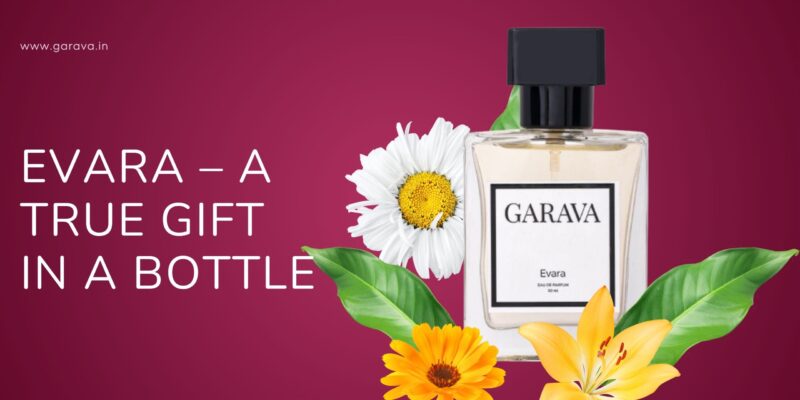 Best Perfume for Women and Men Year-Round – Fragrance Guide