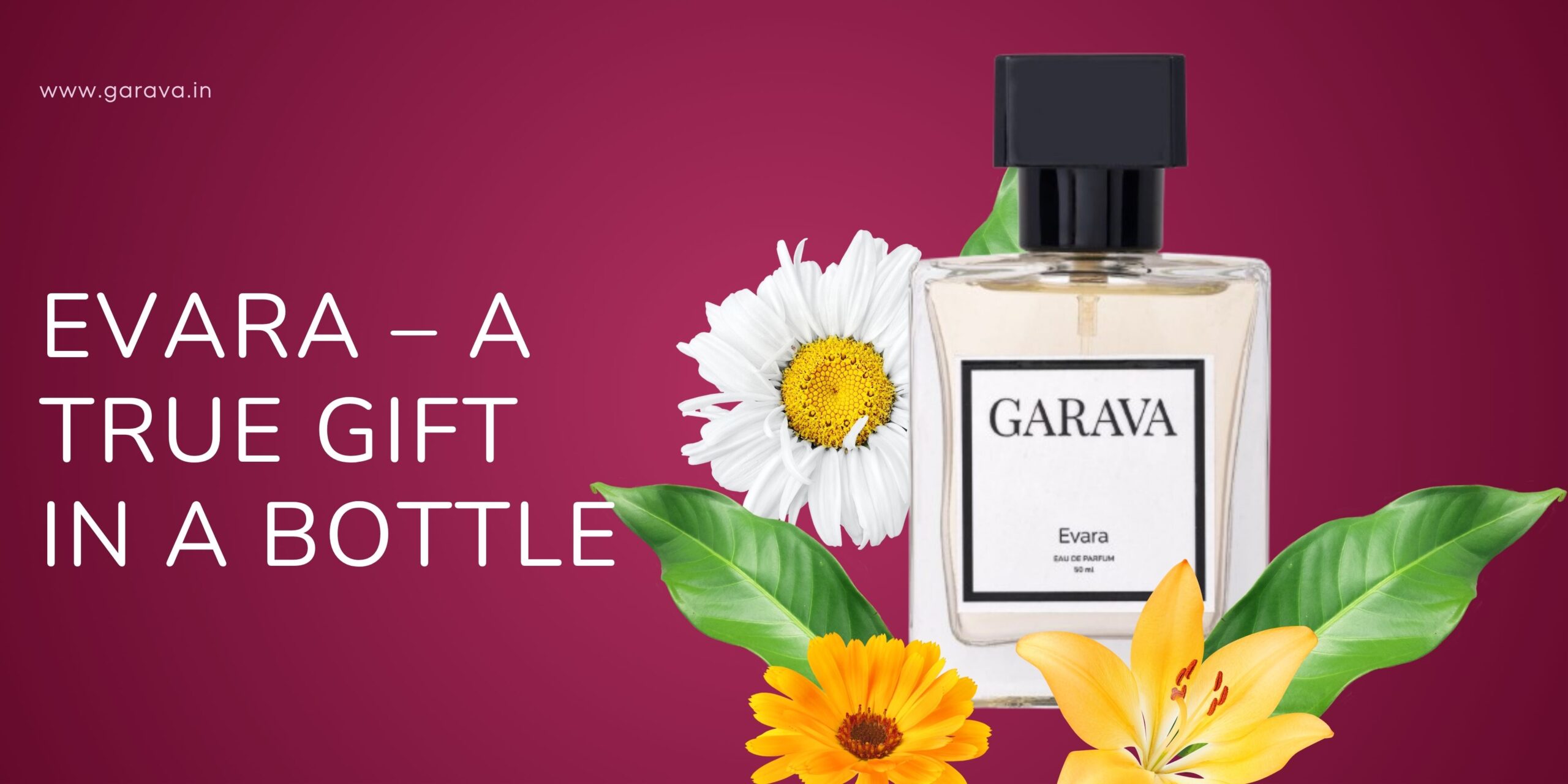Best Perfume for Women and Men Year-Round – Fragrance Guide